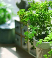 阳泉专属于你的开运指南，助你鸿运当头福满身！